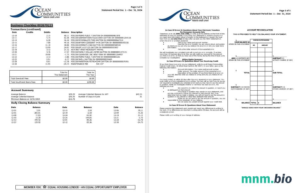USA MOVO szablon w formacie excel pdf